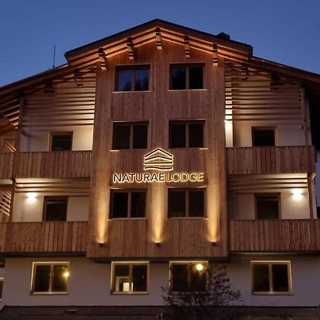 Naturae Lodge Wellness & Spa Alleghe Buitenkant foto