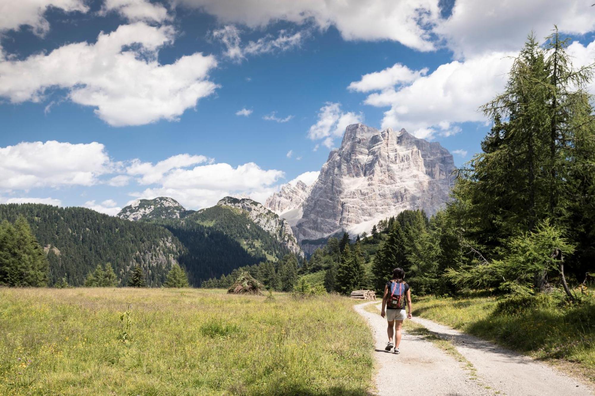Naturae Lodge Wellness & Spa Alleghe Buitenkant foto