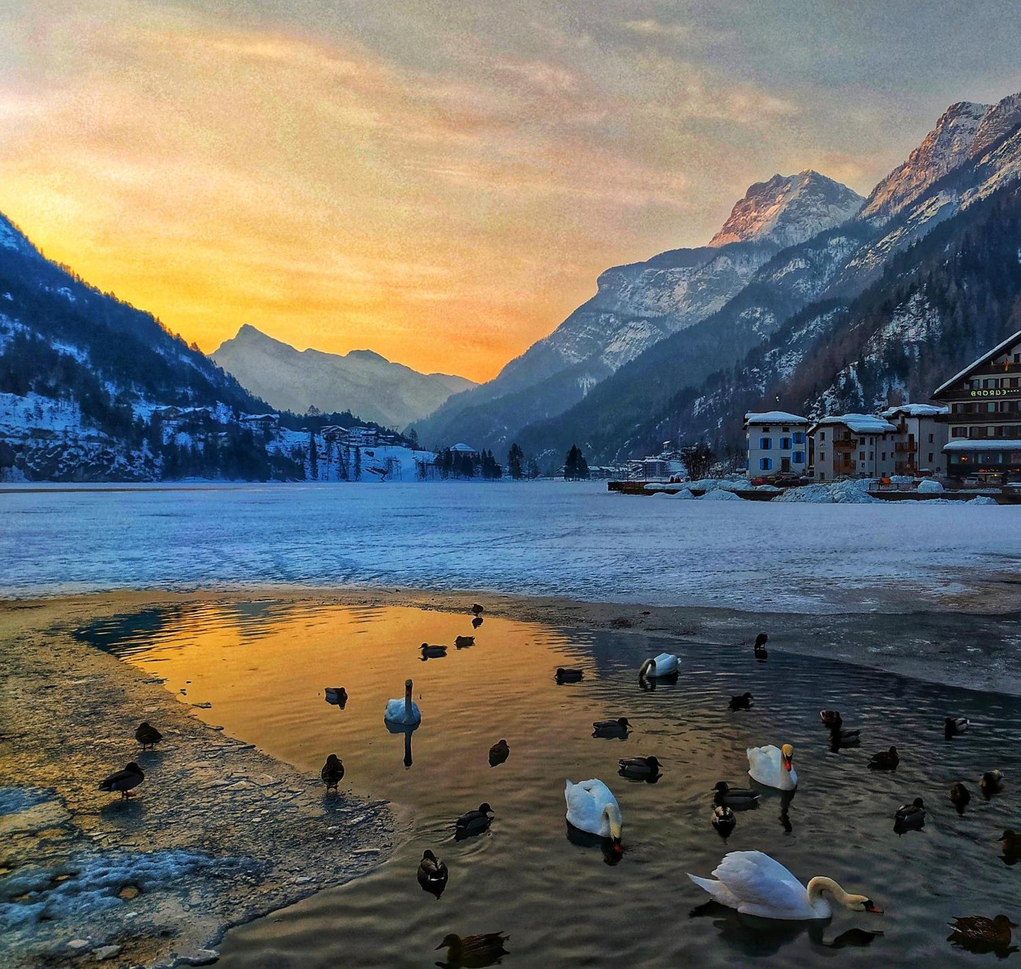 Naturae Lodge Wellness & Spa Alleghe Buitenkant foto